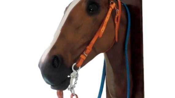 Cabezada de suela con riendas de goma para carrera