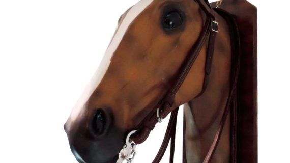 Cabezada y riendas de suela doble marrón