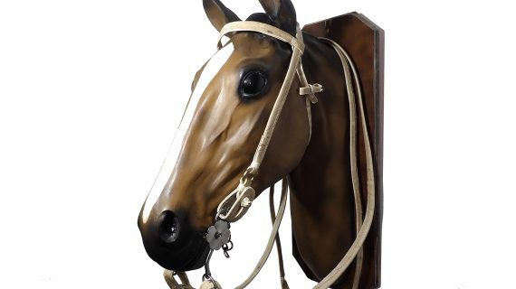 Cabezada y riendas de cuero crudo doble con argolla