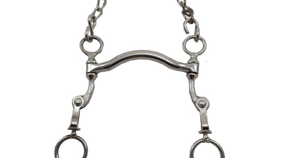 Freno medio puente peruano pata 10