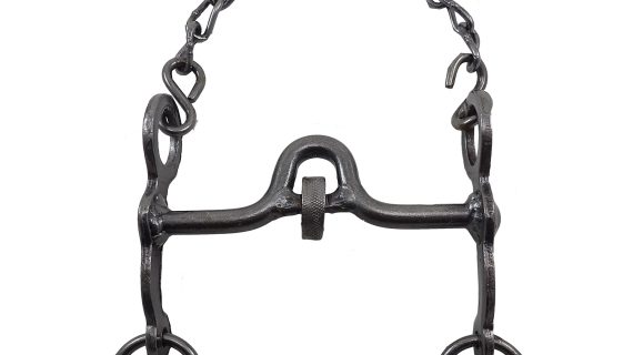 Freno de hierro pulido con coscoja pata 10