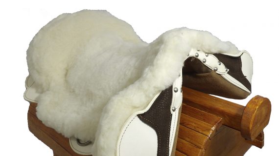 Recado chileno común con pellón blanco