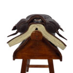 Recado paletero borren alto con mandil y carona - Image 7