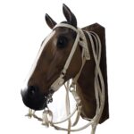 Cabezada, riendas y fiador de cuero blanco - Image 2