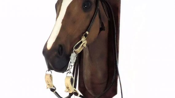 Cabezada y riendas de suela negra doble