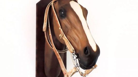 Cabezada y riendas de cuero sobado modelo pampa con botón y moño