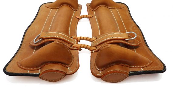 Basto entrerriano con accioneras