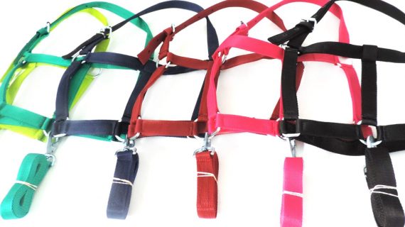 Bozal de nylon con cabestro para caballo adulto