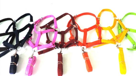 Bozal con cabestro de nylon  para recién nacido