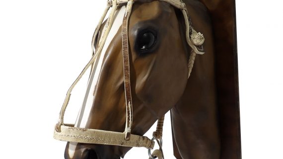 Bozal con cabestro de cuero crudo para polo
