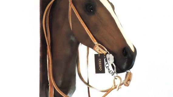 Cabezada y riendas de cuero crudo cosida con tiento