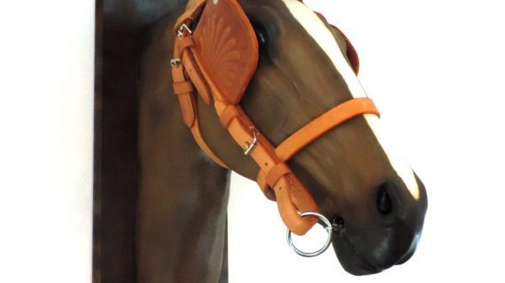 Cabezada de suela para carro