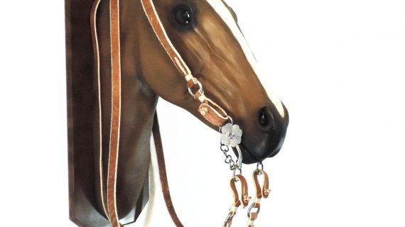 Cabezada y Rrendas de cuero crudo simple