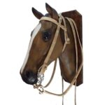 Cabezada y riendas de cuero crudo con cogotera - Image 2