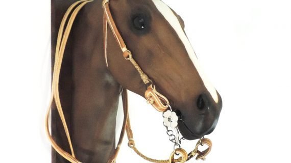 Cabezada y riendas de cuero crudo con macho trenzado