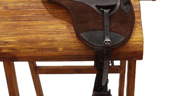 Monturin de equinoterapia completo