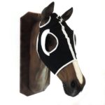 Careta con anteojeras de goma