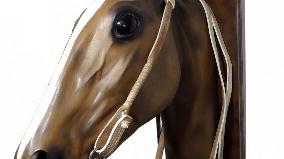 Cabezada y riendas de cuero crudo con macho trenzado sin argolla