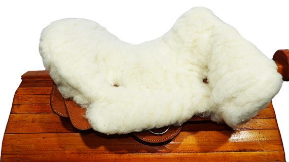 Recado chileno para niño