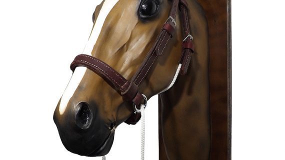 Cabezada de suela doble marrón para amansar