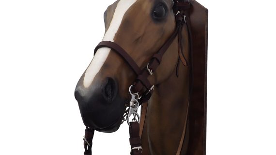 Cabezada y riendas de suela simple marrón con hociquera