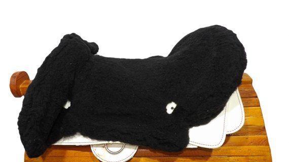 Recado chileno común con pellón negro