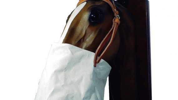 Morral de lona con tapa de suela