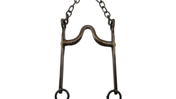 Freno de hierro pulido pata recta duro puente alto