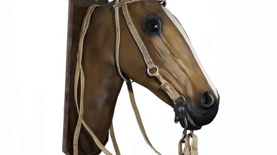 Cabezada y riendas de cuero crudo con argolla