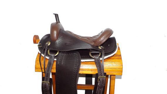 Montura americana con pico color marrón