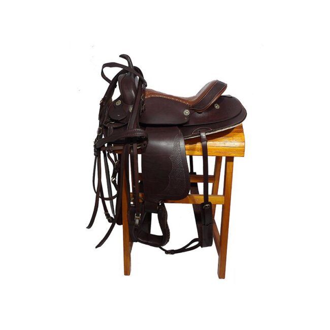 Montura ranger especial - Image 1