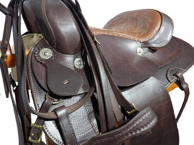 Montura ranger especial - Image 3