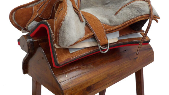 Recado chileno de carpincho especial