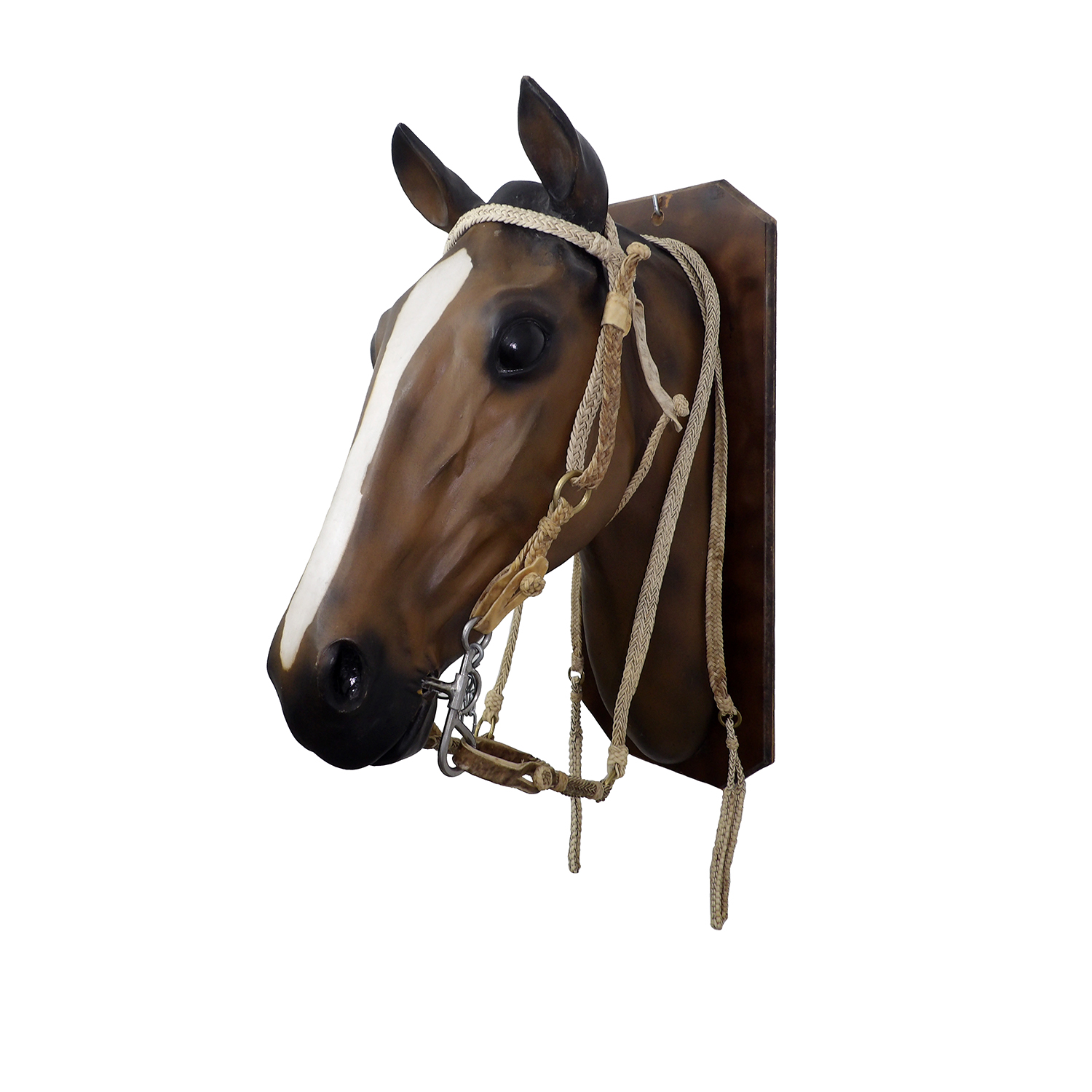 KODAK Digital Still Camera Cabezada y riendas de cuero crudo trenza chata - Image 1