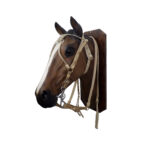 Cabezada y riendas de cuero crudo trenza chata con nudo frentero