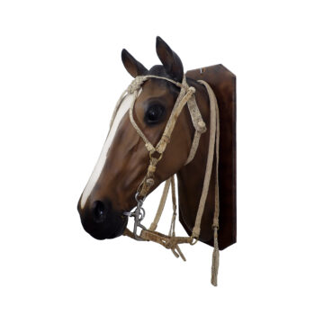 Cabezada y riendas de cuero crudo trenza chata con nudo frentero