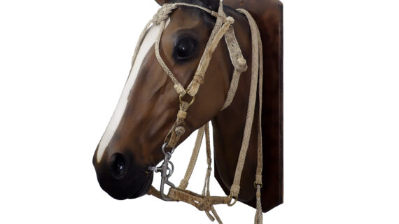 Cabezada y riendas de cuero crudo trenza chata con nudo frentero