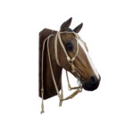 Cabezada y riendas de cuero crudo trenza chata con nudo frentero - Image 3