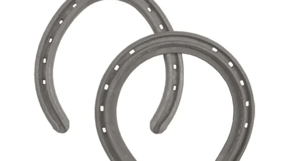 Herradura de hierro palermo por juego