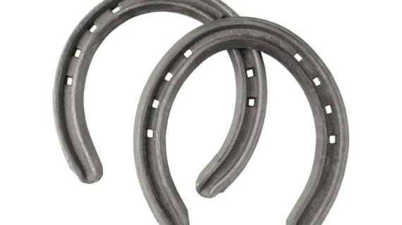 Herradura de hierro vareo polo por juego