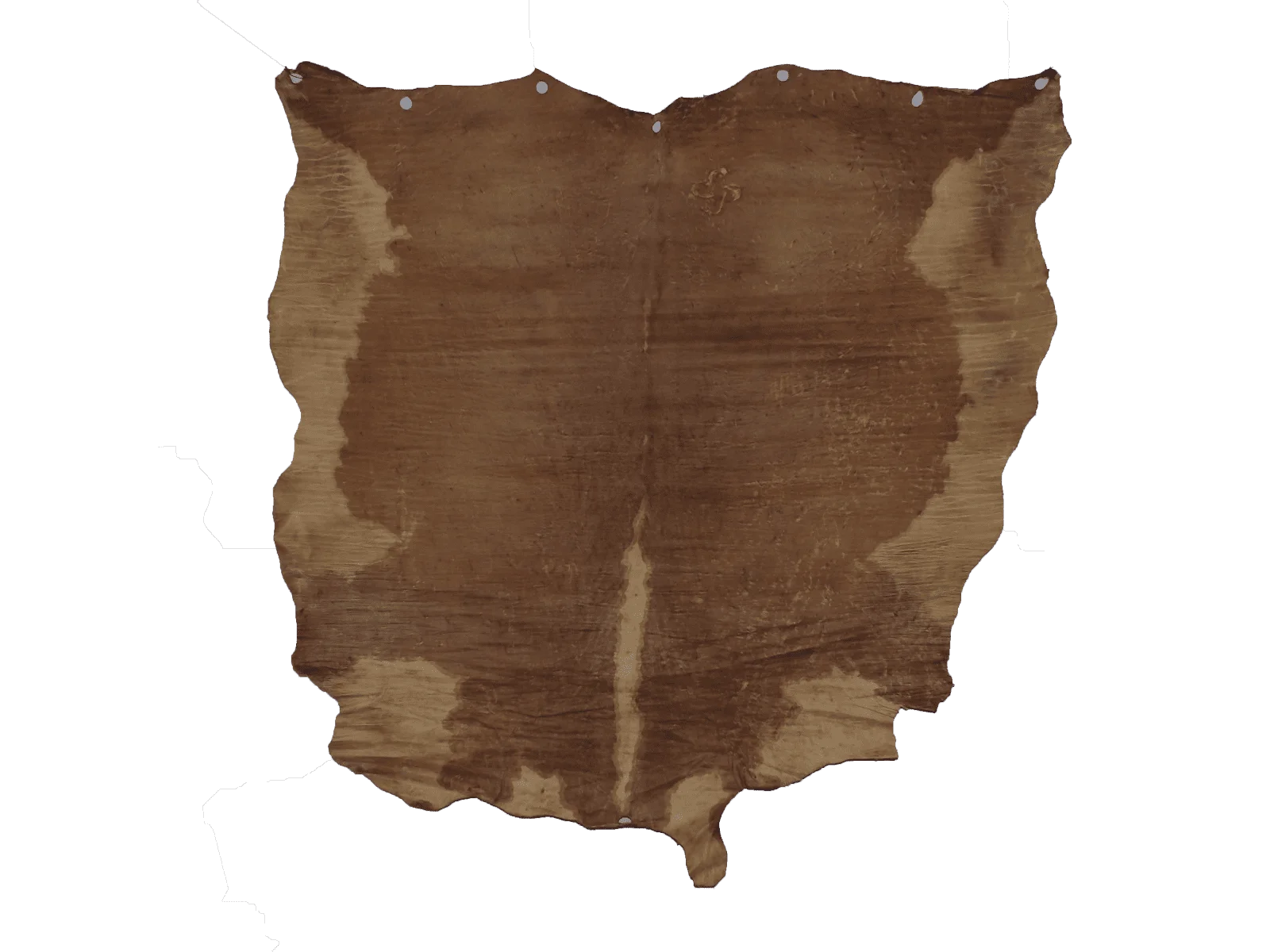 tcr-4001-1-1772134465.webp Cuero crudo sobado entero - Image 1