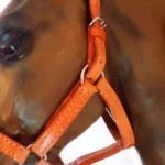 Bozal con cabestro de suela para box - Image 3