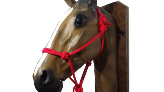 Bozal con cabestro de soga con nudos