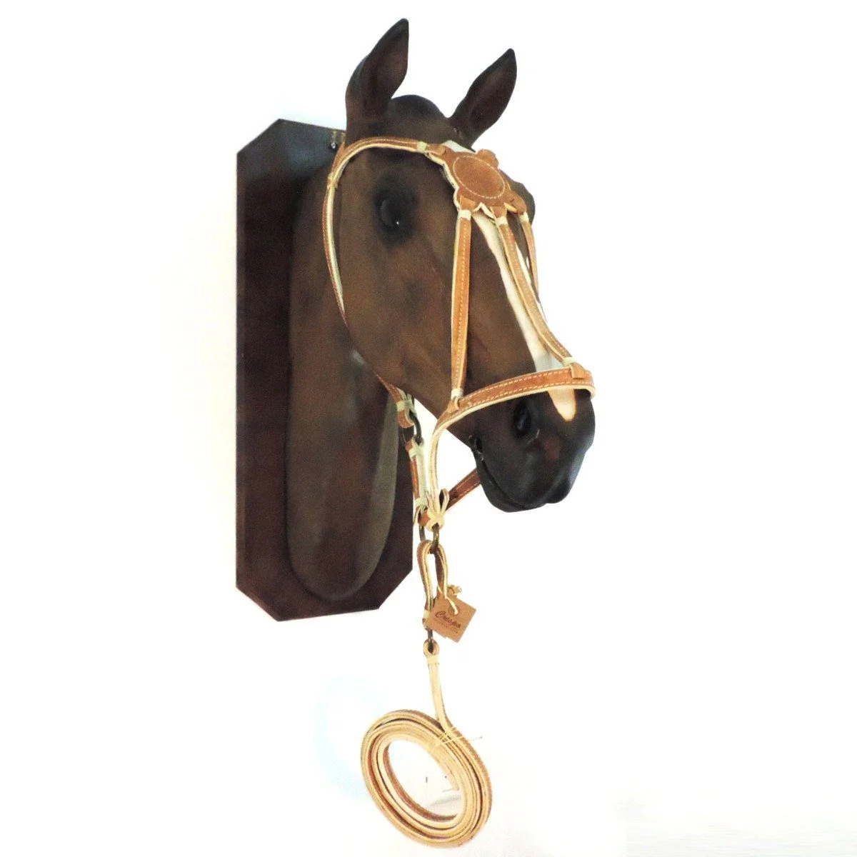 tcr-4162-4-1772139373.webp Bozal con cabestro de cuero crudo cosido con hilo - Image 1