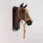 Bozal con cabestro de cuero crudo cosido con tiento - Image 2