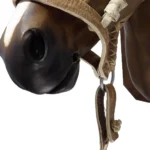 Bozal con cabestro de cuero crudo para palenquear - Image 2