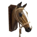 Bozal con cabestro de cuero crudo para palenquear liviano - Image 2