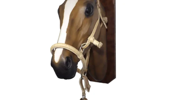 Bozal con cabestro de cuero crudo sobado para domar