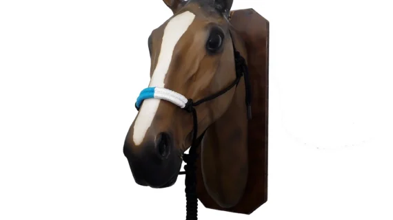 Bozal con cabestro de soga con nudos con hociquera de color