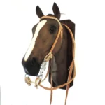 Cabezada y riendas de cuero crudo cosida con tiento - Image 2